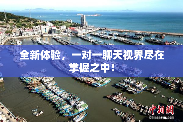 全新体验，一对一聊天视界尽在掌握之中！
