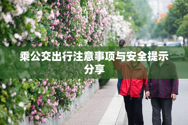 乘公交出行注意事项与安全提示分享