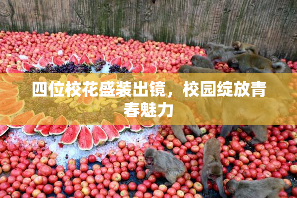 四位校花盛装出镜，校园绽放青春魅力