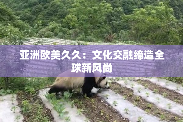 亚洲欧美久久：文化交融缔造全球新风尚