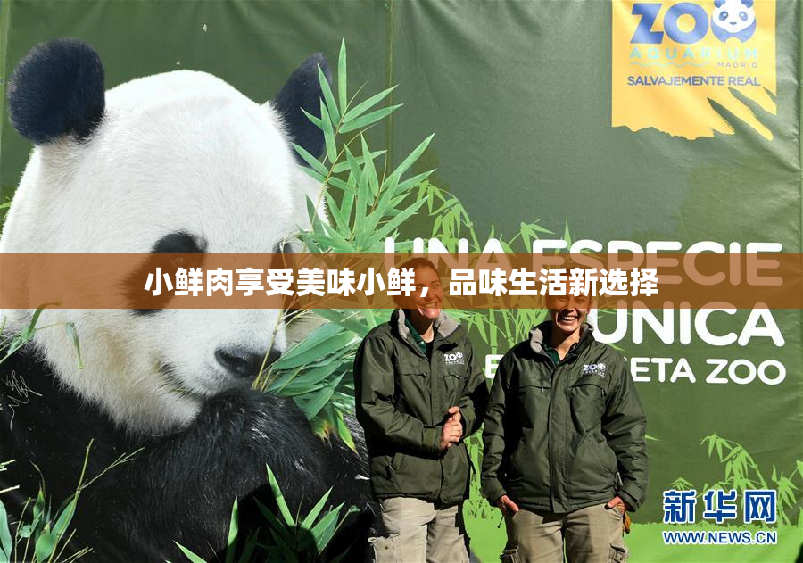 小鲜肉享受美味小鲜，品味生活新选择