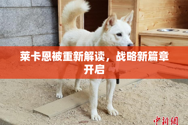 莱卡恩被重新解读，战略新篇章开启