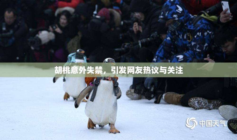 胡桃意外失禁，引发网友热议与关注