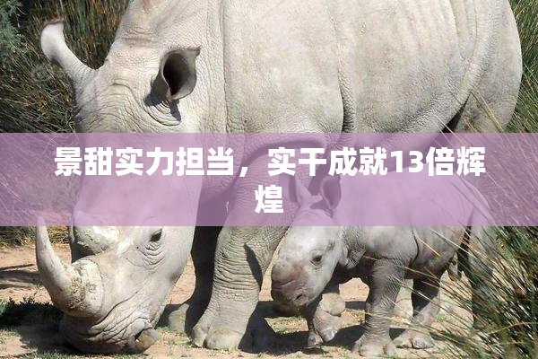 景甜实力担当，实干成就13倍辉煌