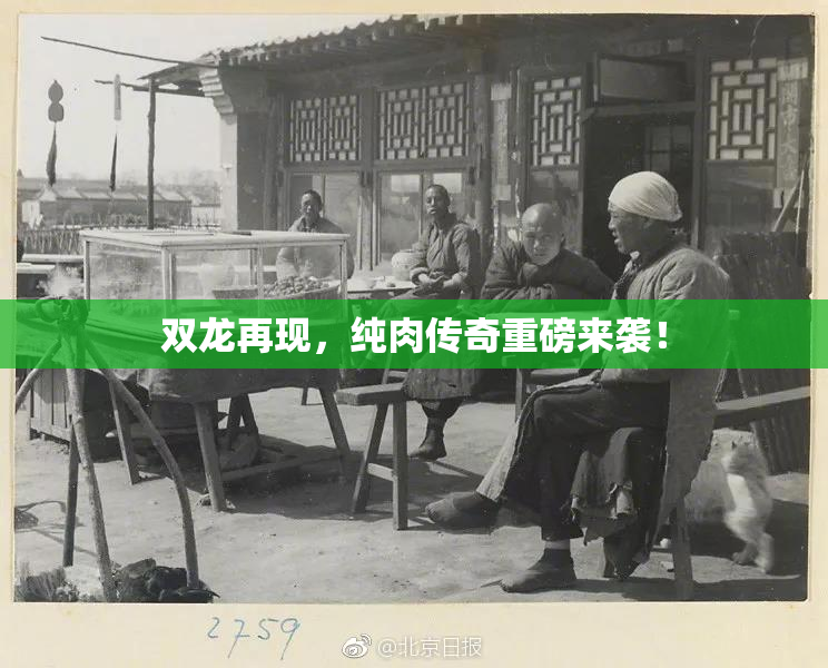 双龙再现，纯肉传奇重磅来袭！