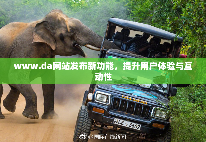 www.da网站发布新功能，提升用户体验与互动性