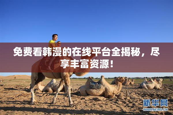 免费看韩漫的在线平台全揭秘，尽享丰富资源！