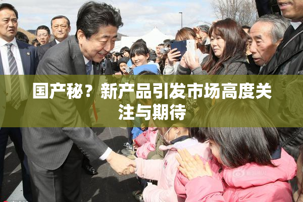 国产秘？新产品引发市场高度关注与期待