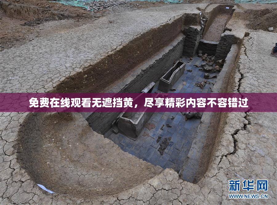 免费在线观看无遮挡黄，尽享精彩内容不容错过