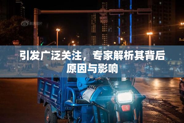 引发广泛关注，专家解析其背后原因与影响
