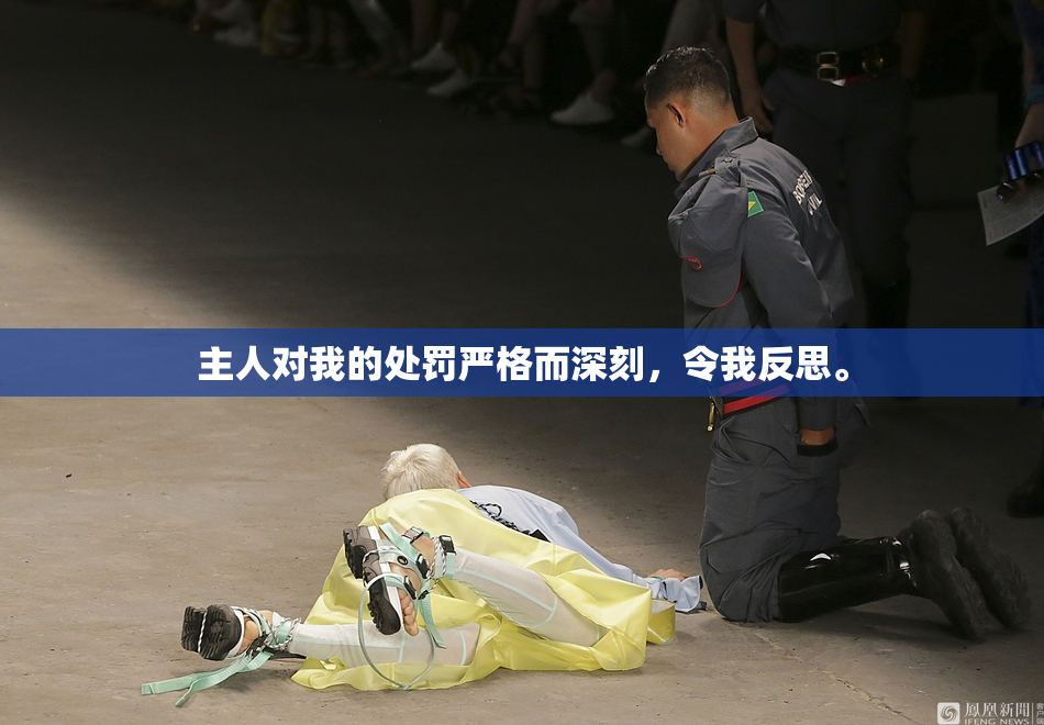 主人对我的处罚严格而深刻，令我反思。