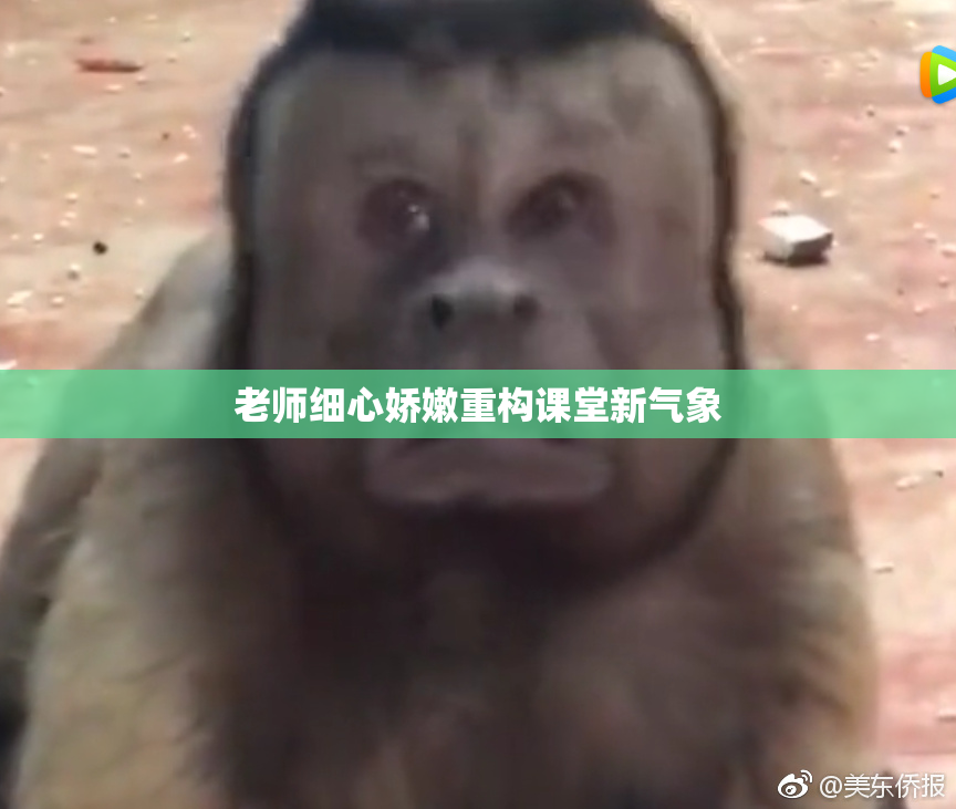 老师细心娇嫩重构课堂新气象