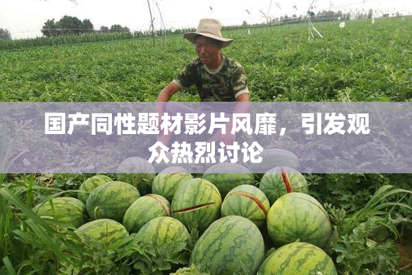 国产同性题材影片风靡，引发观众热烈讨论