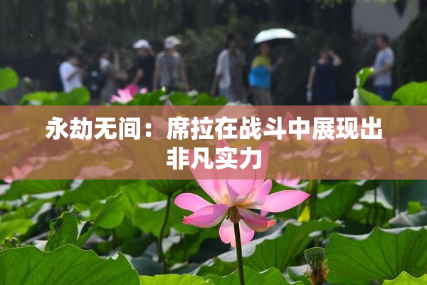 永劫无间：席拉在战斗中展现出非凡实力