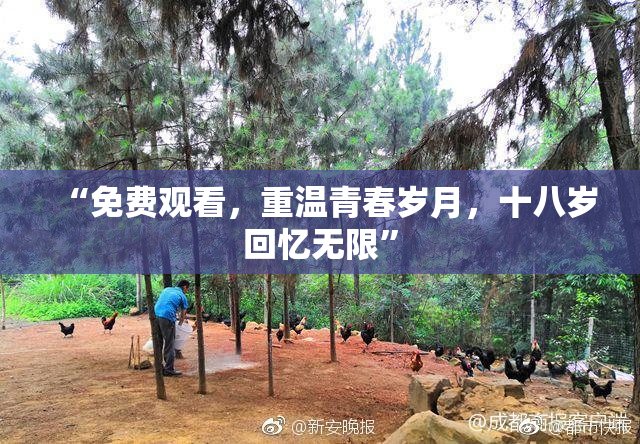“免费观看，重温青春岁月，十八岁回忆无限”