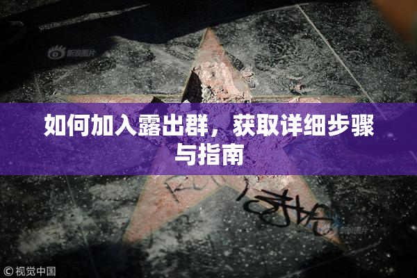 如何加入露出群，获取详细步骤与指南