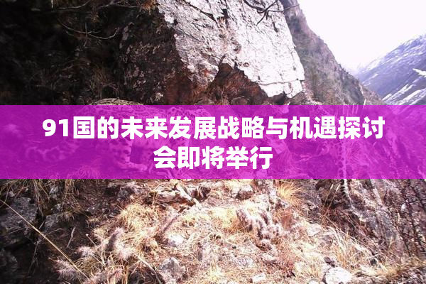91国的未来发展战略与机遇探讨会即将举行