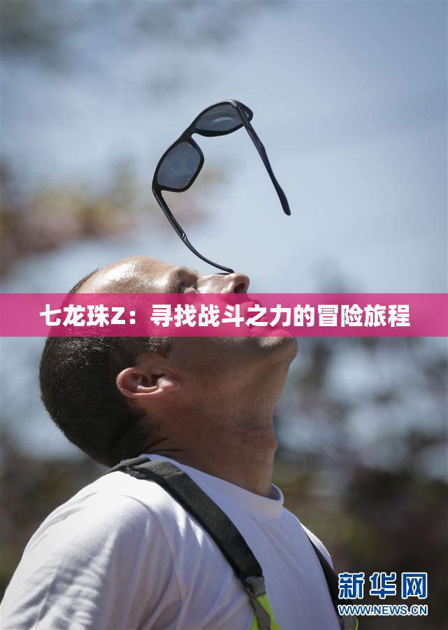 七龙珠Z：寻找战斗之力的冒险旅程