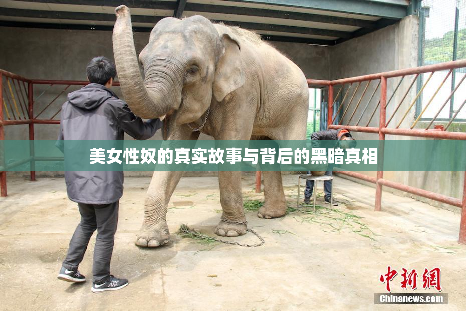 美女性奴的真实故事与背后的黑暗真相