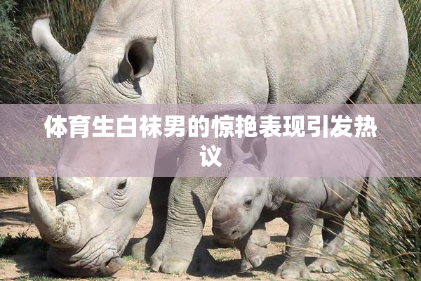体育生白袜男的惊艳表现引发热议