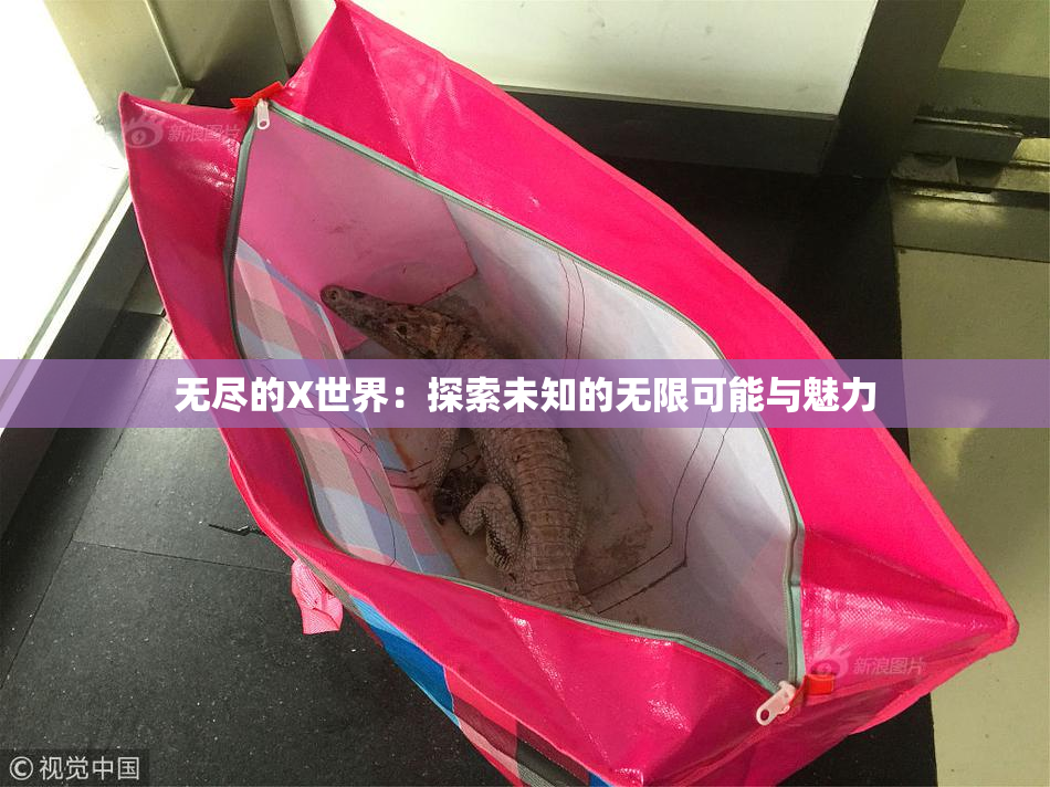 无尽的X世界：探索未知的无限可能与魅力