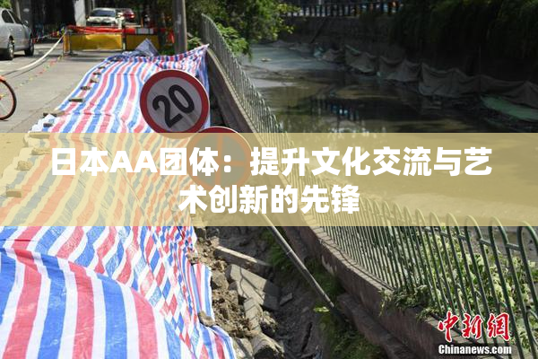 日本AA团体：提升文化交流与艺术创新的先锋
