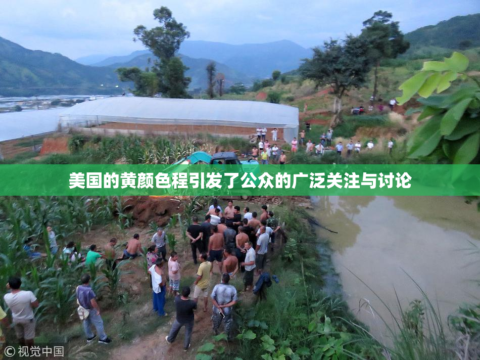 美国的黄颜色程引发了公众的广泛关注与讨论