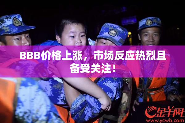 BBB价格上涨，市场反应热烈且备受关注！