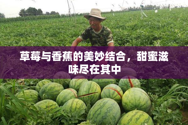 草莓与香蕉的美妙结合，甜蜜滋味尽在其中