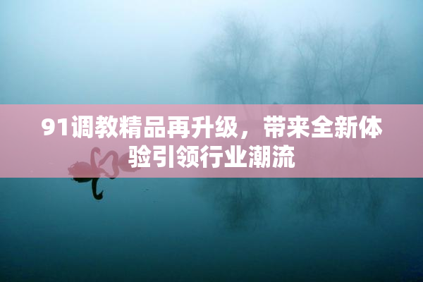 91调教精品再升级，带来全新体验引领行业潮流