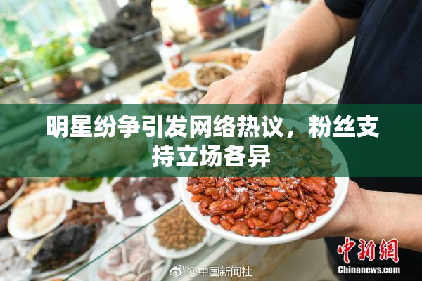 明星纷争引发网络热议，粉丝支持立场各异