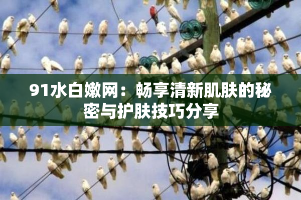 91水白嫩网：畅享清新肌肤的秘密与护肤技巧分享