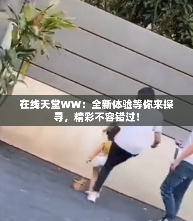 在线天堂WW：全新体验等你来探寻，精彩不容错过！