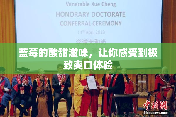 蓝莓的酸甜滋味，让你感受到极致爽口体验