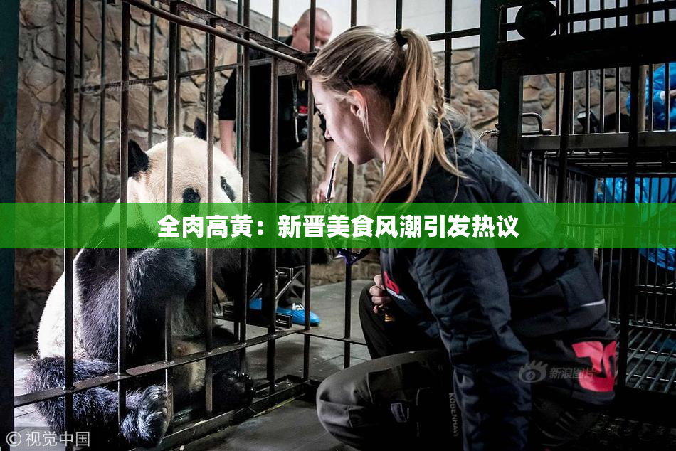 全肉高黄：新晋美食风潮引发热议