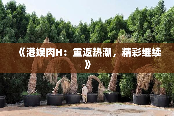 《港娱肉H：重返热潮，精彩继续》
