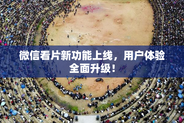 微信看片新功能上线，用户体验全面升级！