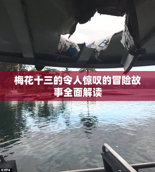 梅花十三的令人惊叹的冒险故事全面解读