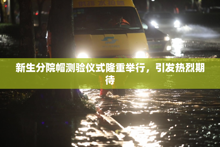 新生分院帽测验仪式隆重举行，引发热烈期待