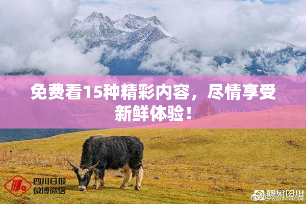 免费看15种精彩内容，尽情享受新鲜体验！