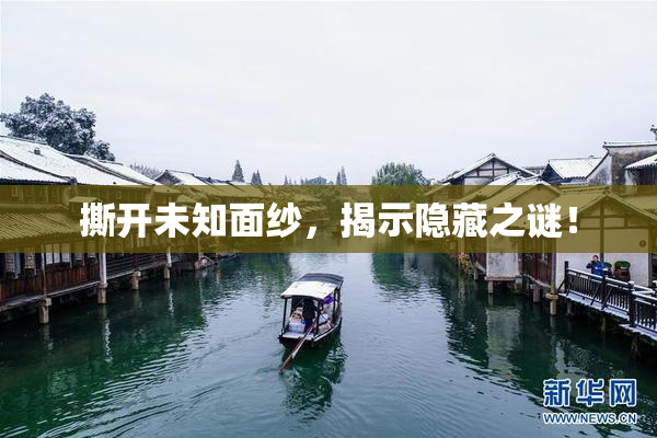 撕开未知面纱，揭示隐藏之谜！