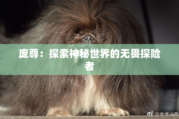 庞尊：探索神秘世界的无畏探险者