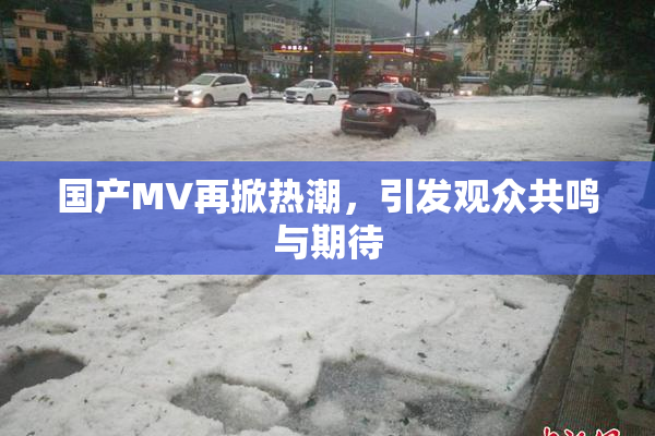 国产MV再掀热潮，引发观众共鸣与期待