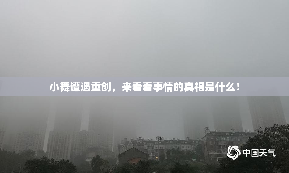 小舞遭遇重创，来看看事情的真相是什么！