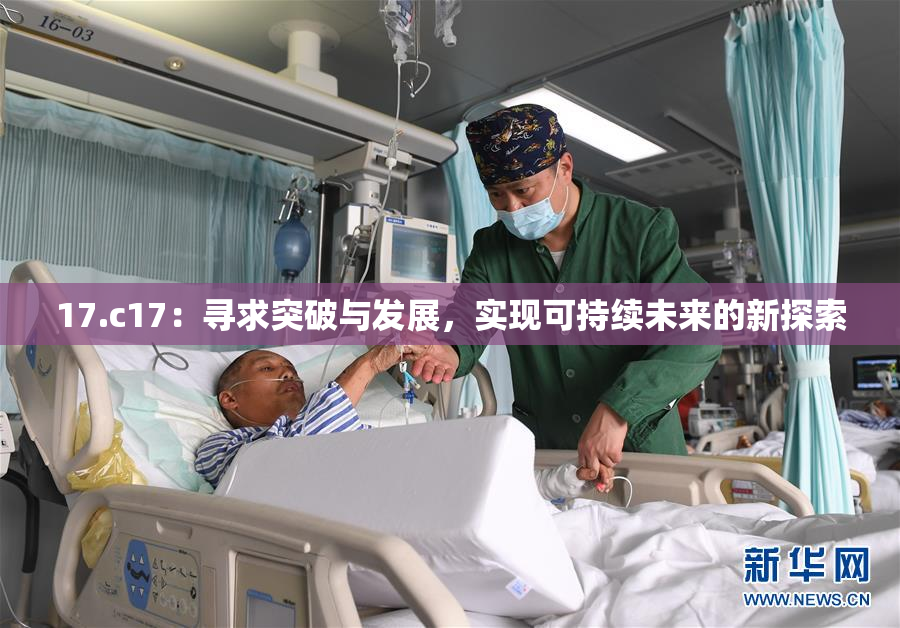 17.c17：寻求突破与发展，实现可持续未来的新探索