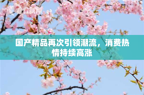 国产精品再次引领潮流，消费热情持续高涨