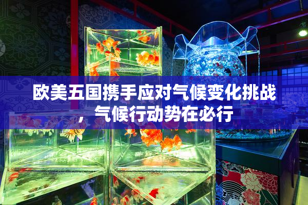 欧美五国携手应对气候变化挑战，气候行动势在必行