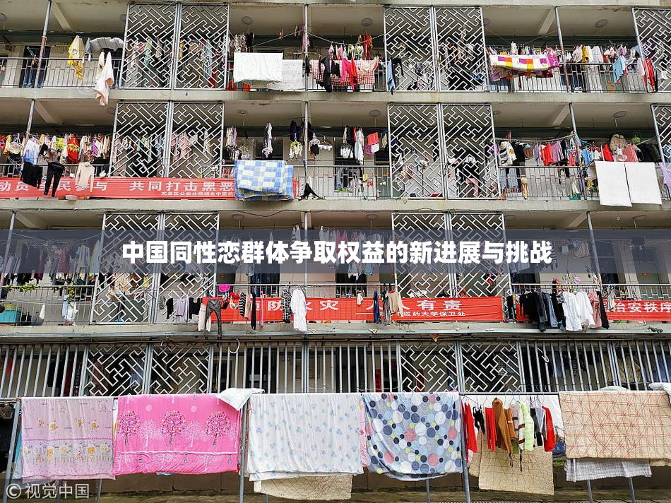 中国同性恋群体争取权益的新进展与挑战