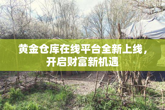 黄金仓库在线平台全新上线，开启财富新机遇