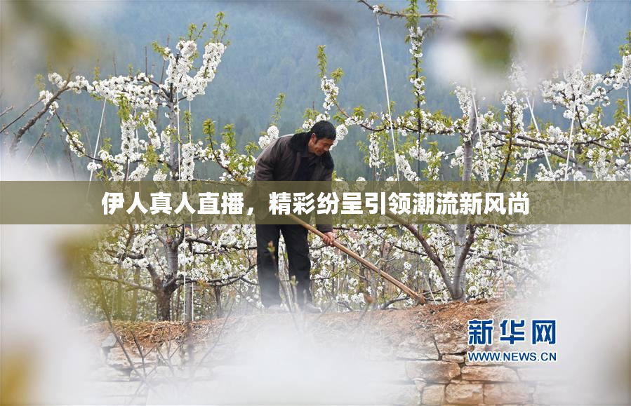 伊人真人直播，精彩纷呈引领潮流新风尚